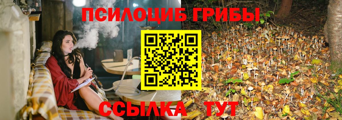 Ярцево  Псилоцибиновые грибы прущие грибы  Вход с VPN  Галлюциногенные грибы Cubensis 